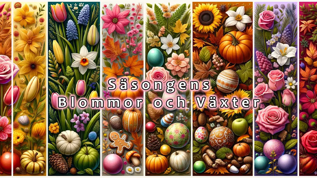 Säsongsanpassade blommor och växter för baby shower-dekorationer: vårens tulpaner och påskliljor, sommarens rosor och solrosor, höstens pumpor och höstlöv, och vinterns julstjärnor och pepparkaksdekorationer.